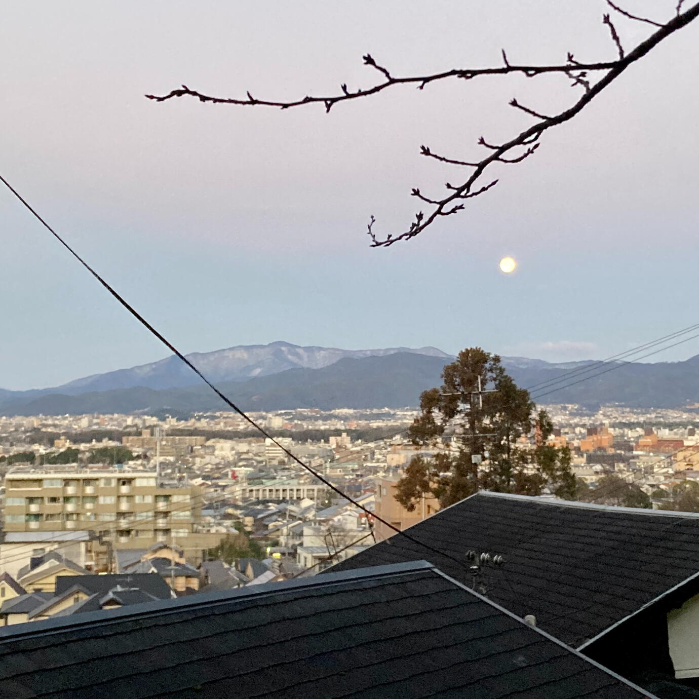 Winter brings moonrise views over the western hills.