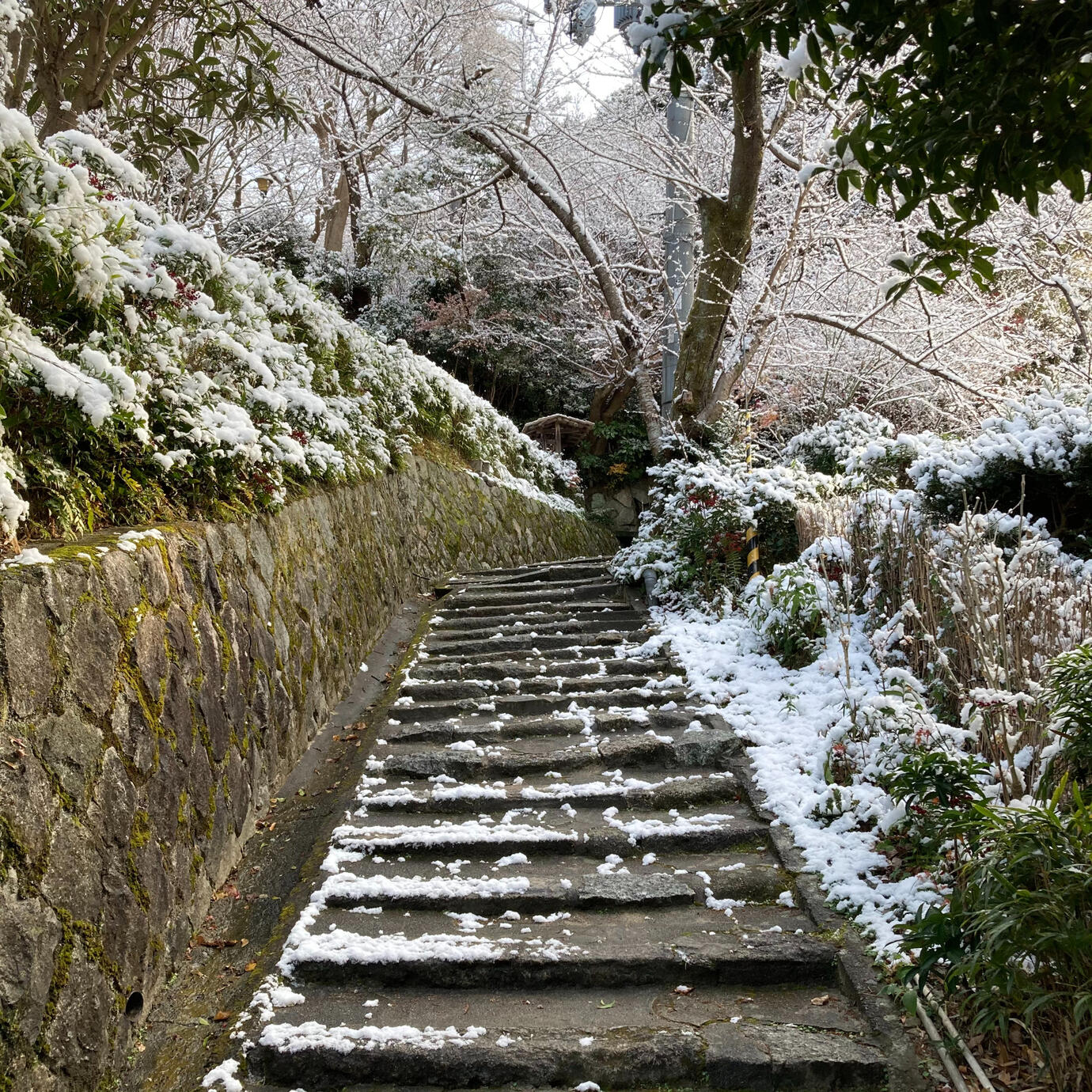 Steps behind the cottage lead you to mountain hiking trails.